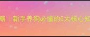 小土狗必看疫苗全攻略新手养狗必懂的5大核心知识附打疫苗避坑指南