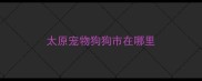 太原宠物狗狗市在哪里