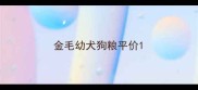 金毛幼犬狗粮平价