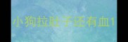 小狗拉肚子还有血