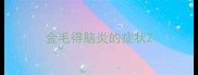 金毛得脑炎的症状