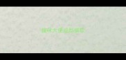 猫咪大便成型偏软
