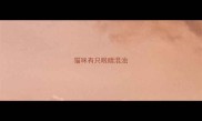 猫咪有只眼睛混浊