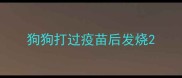 狗狗打过疫苗后发烧