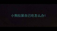 小狗拉屎自己吃怎么办