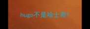 hugo不是哈士奇