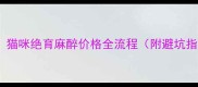 最新猫咪绝育麻醉价格全流程附避坑指南