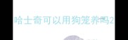 哈士奇可以用狗笼养吗