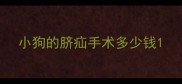 小狗的脐疝手术多少钱
