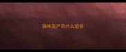 猫咪流产有什么症状