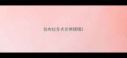 拉布拉多犬非常模糊