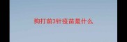 狗打前3针疫苗是什么