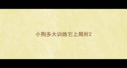 小狗多大训练它上厕所
