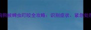 宠物主人必读狗狗被蜱虫叮咬全攻略识别症状紧急处理与家庭预防指南