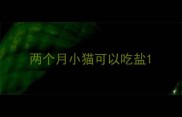 两个月小猫可以吃盐