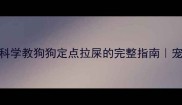 5步训练法科学教狗狗定点拉屎的完整指南宠物主必看