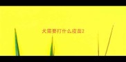犬需要打什么疫苗