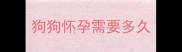 狗狗怀孕需要多久