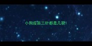 小狗疫苗三针都是几联