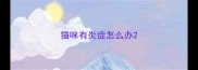 猫咪有炎症怎么办