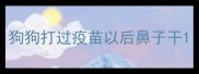 狗狗打过疫苗以后鼻子干