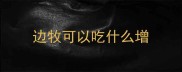 边牧可以吃什么增