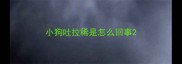 小狗吐拉稀是怎么回事