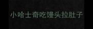 小哈士奇吃馒头拉肚子