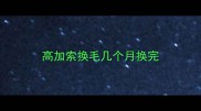 高加索换毛几个月换完