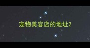 宠物美容店的地址