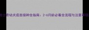 哈士奇幼犬疫苗接种全指南2-6月龄必看全流程与注意事项