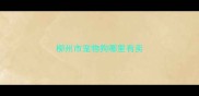 柳州市宠物狗哪里有卖