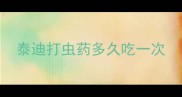 泰迪打虫药多久吃一次