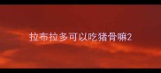 拉布拉多可以吃猪骨嘛