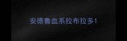 安德鲁血系拉布拉多