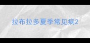 拉布拉多夏季常见病