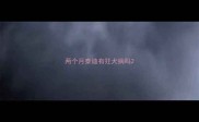 两个月泰迪有狂犬病吗
