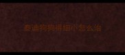 泰迪狗狗得细小怎么治