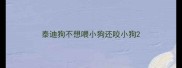 泰迪狗不想喂小狗还咬小狗