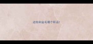 边牧和金毛哪个听话
