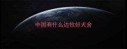 中国有什么边牧好犬舍