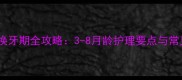 泰迪犬换牙期全攻略3-8月龄护理要点与常见问题