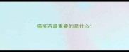 猫疫苗最重要的是什么