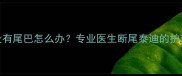 泰迪犬没有尾巴怎么办专业医生断尾泰迪的护理全攻略
