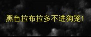 黑色拉布拉多不进狗笼