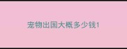 宠物出国大概多少钱