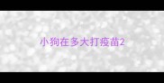 小狗在多大打疫苗