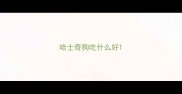 哈士奇狗吃什么好