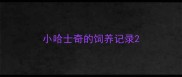 小哈士奇的饲养记录
