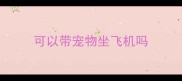 可以带宠物坐飞机吗